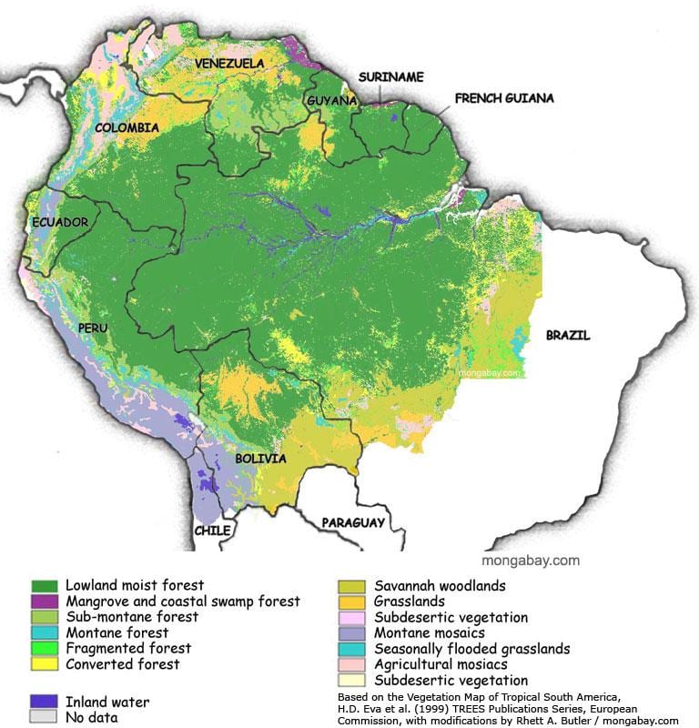 地図のブラジルの森林