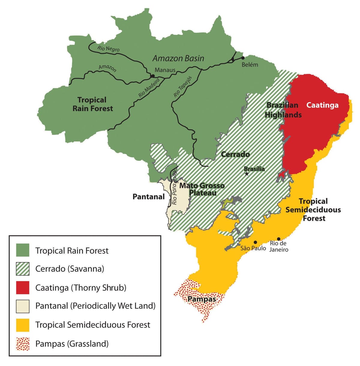 地図のブラジルでの植生