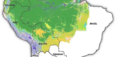 地図のブラジルの森林