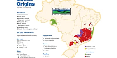 地図のブラジルコーヒー