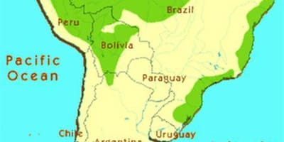 熱帯雨林ブラジルの地図