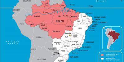 マラリアブラジルの地図